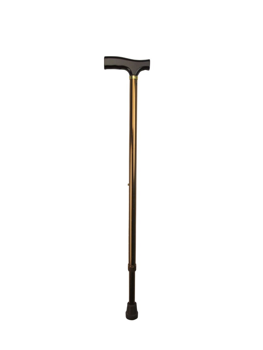 T-Handle Walking Stick, Bronze