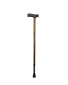 T-Handle Walking Stick, Bronze